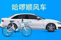 [6分钟科普]厦门的咨询公司_哔哩哔哩-3